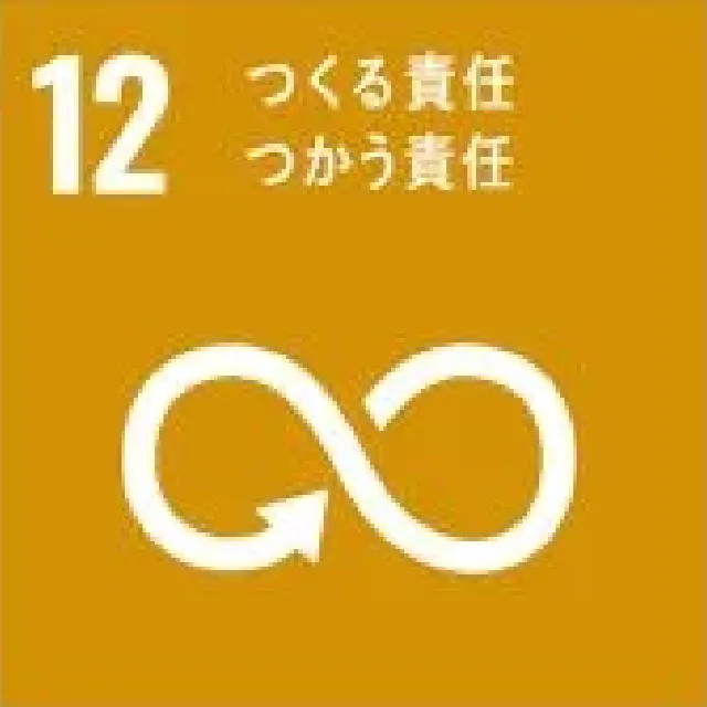 sdgs12